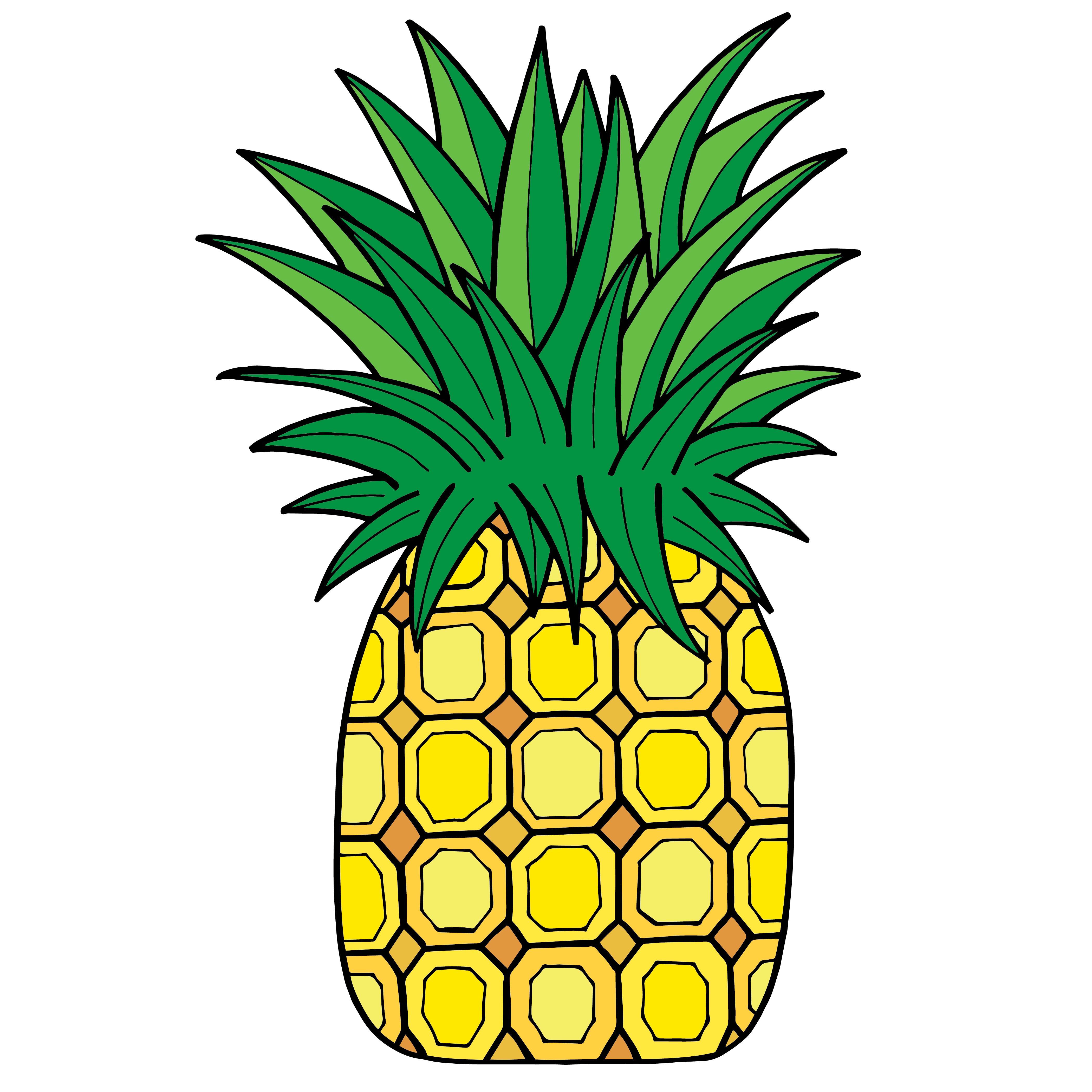 4200x4200 Outline Drawing Of A Pineapple Fruit Free Image