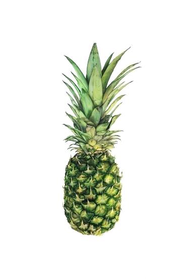 375x555 Pinapple Drawing Pineapple Pineapple Drawing Png