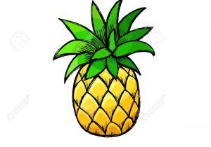 300x210 Pineapple Cartoon Drawing Outline Black And White Image