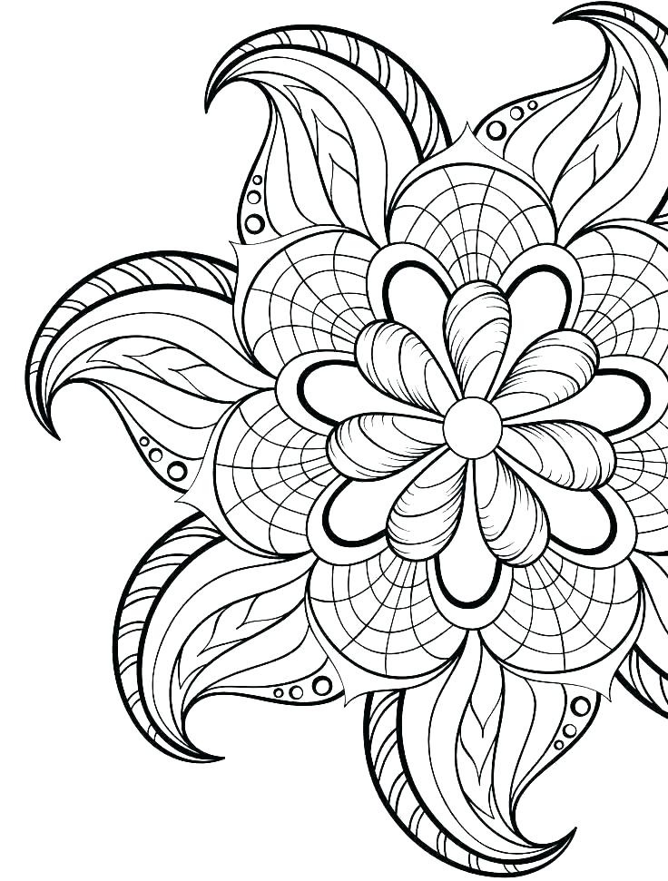 736x971 Carnation Coloring