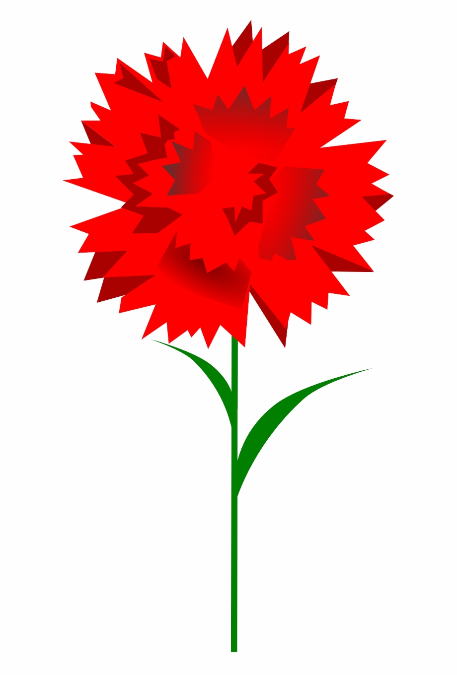 920x1360 Carnation Flower Red Plant Png Image