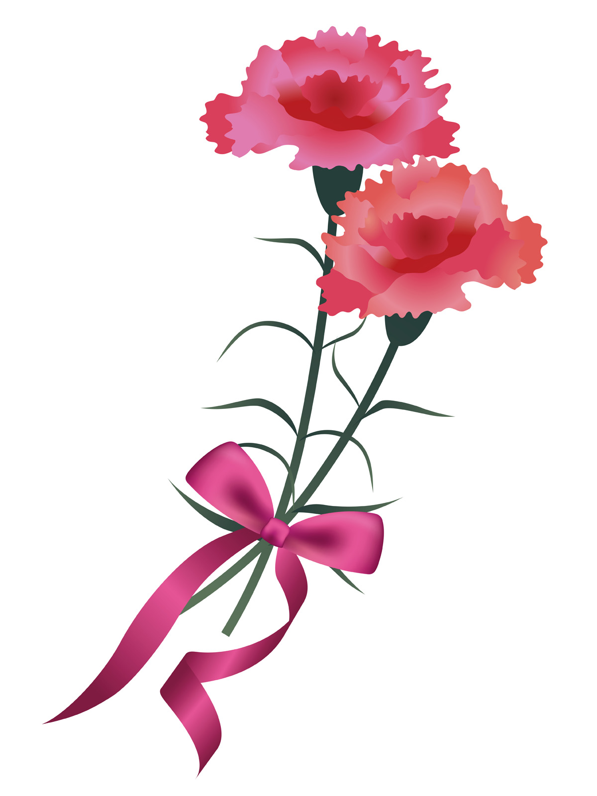 1200x1600 Carnation Bouquet With A Pink Ribbon For Mother's Day, Birthday