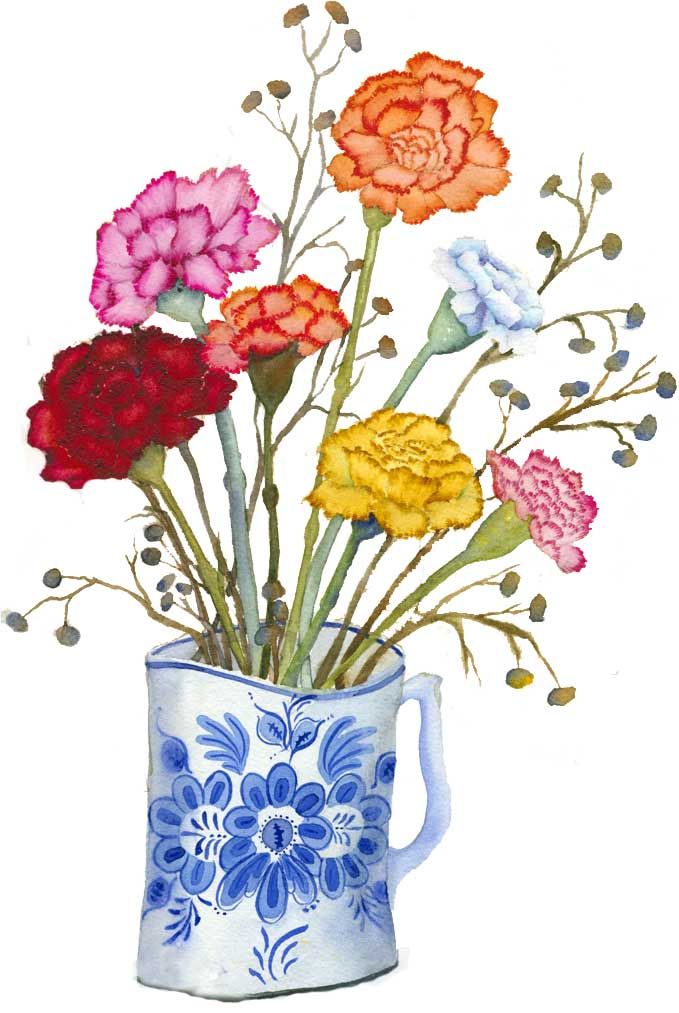 679x1013 Collection Of Free Arenation Clipart Carnation Flower Download