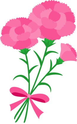 260x420 Drawing, Flower, Illustration, Transparent Png Image Clipart