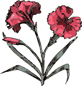 285x300 Carnation Clip Art