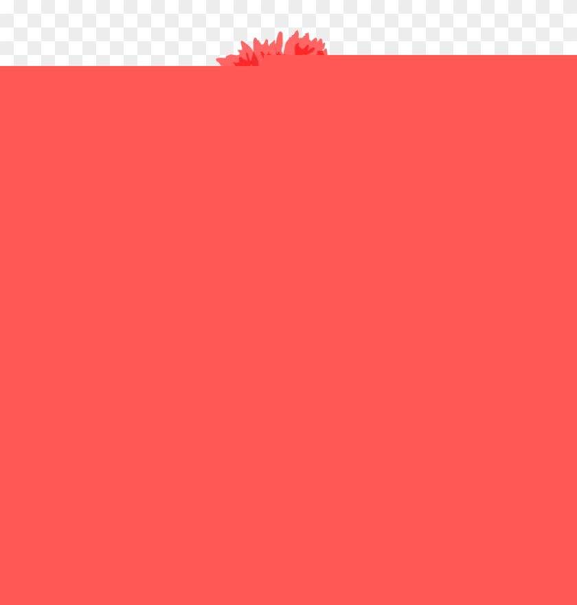 840x880 Carnation Clipart Free For Download