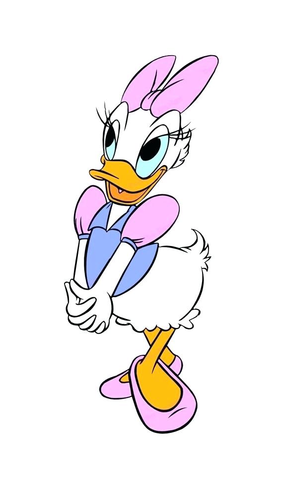 570x984 drawing of daisy duck how drawing daisy duck