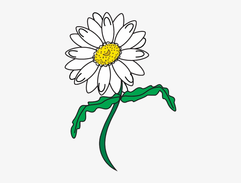820x622 How To Draw Daisy Flower