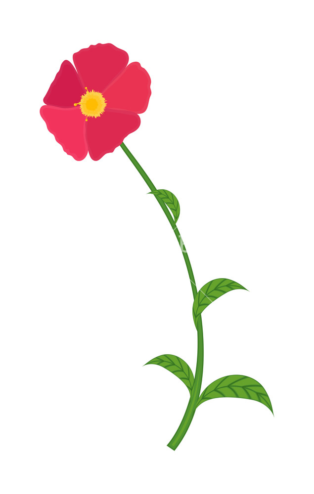 635x1000 Pink Flower Drawing Element Royalty Free Stock Image