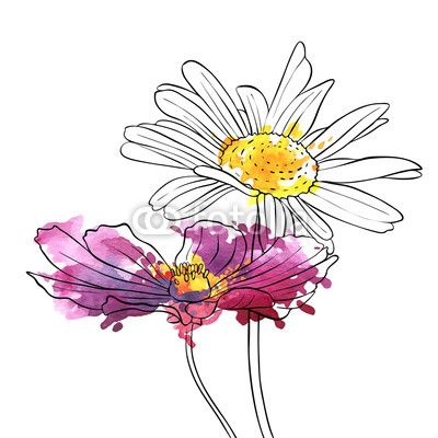 400x400 Vector Drawing Flowers Of Daisy Buy Photos Ap Images Detailview