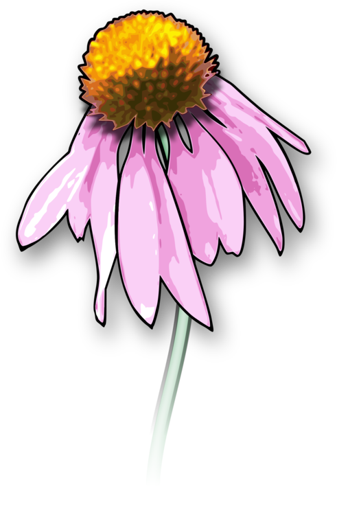 491x750 Collection Of Free Daisy Drawing Dead Flower Download On Ui Ex