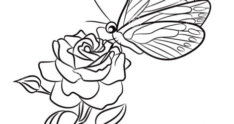 Ink Drawings Of Flowers | Free download on ClipArtMag