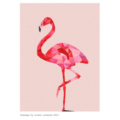 480x480 Flamingo