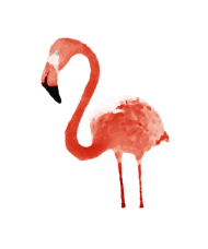 190x228 Flamingo Drawing Realistic Pink Small Buttons Spreadshirt
