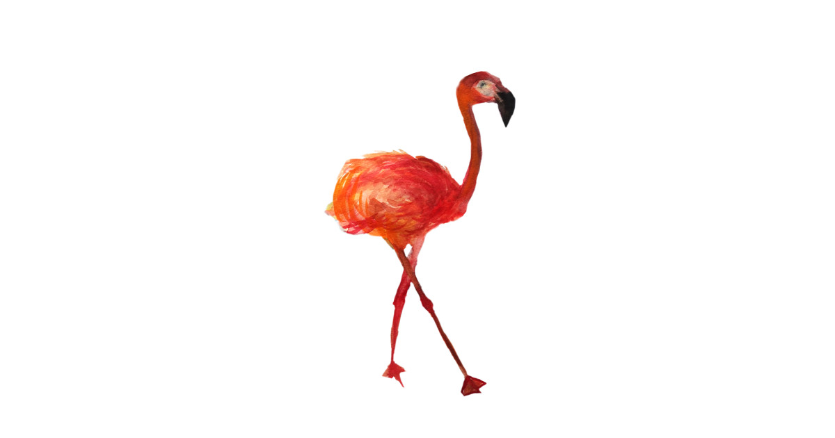 1200x630 Pink Flamingo