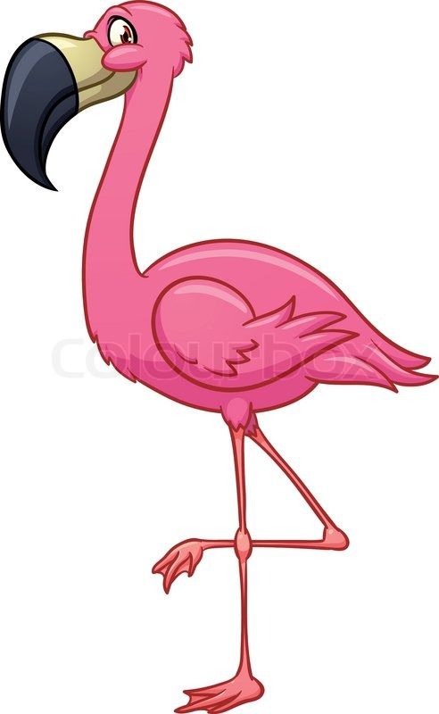 492x800 Cartoon Flamingo Vector Colourbox Birds Flamingo Vector