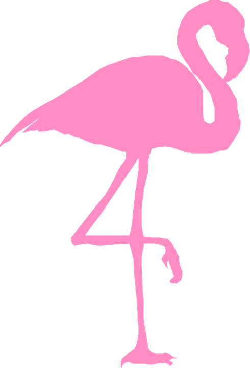 490x720 Collection Of Free Pineapple Pink Flamingo Download On Ui Ex