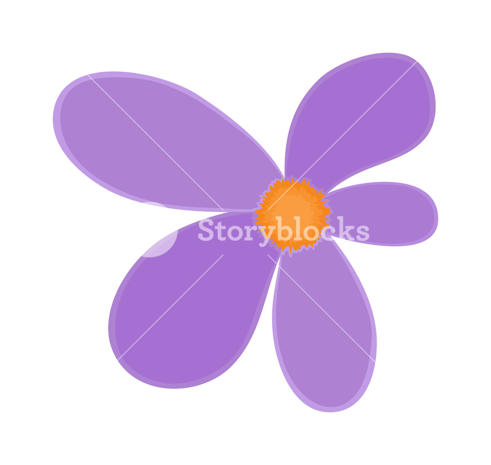 1000x948 Pink Flower Drawing Art Royalty Free Stock Image