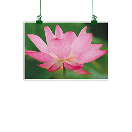 425x425 Gabriesl Drawing Art Supplies Painting Pink Flower