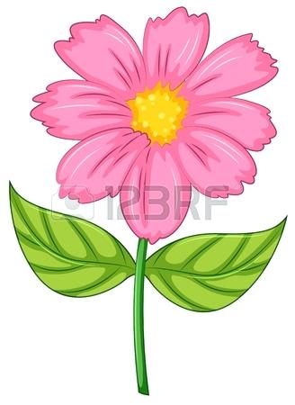 328x450 Cartoon Flower Creator Living Sample Creative