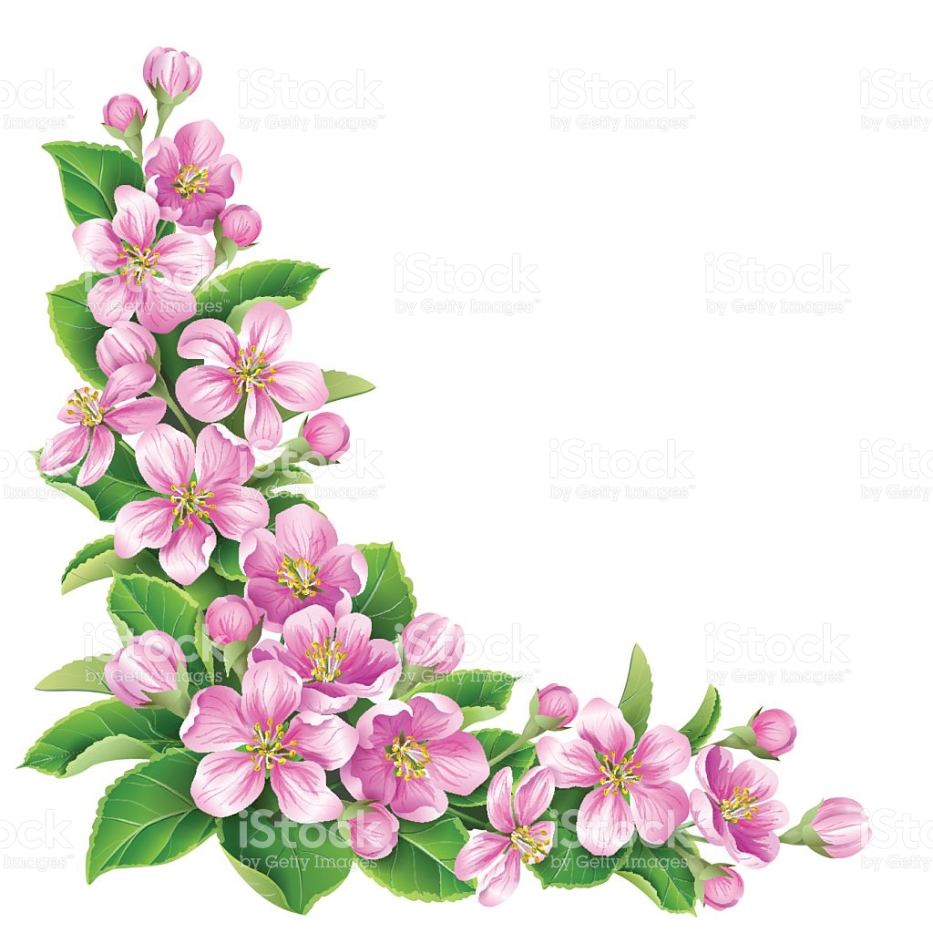 1024x1024 Collection Of 'pink Flowers Drawing' Download More Than Images