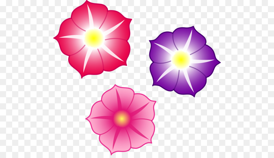 900x520 Drawing, Flower, Pink, Transparent Png Image Clipart Free Download