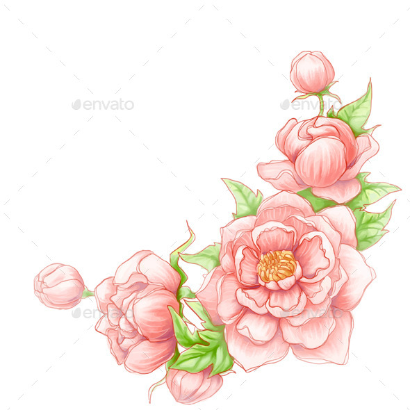 590x590 peonies graphics, designs templates from graphicriver