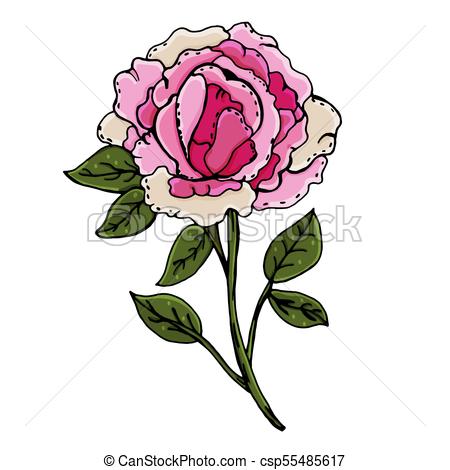 450x470 peonies beautiful flowers manual drawing spring a set