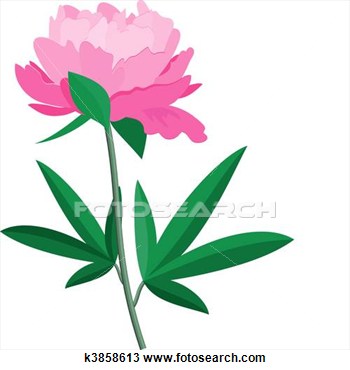 350x370 Pink Peony Clipart