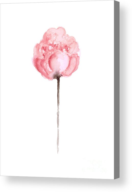 517x750 Pink Peony Poster Acrylic Print