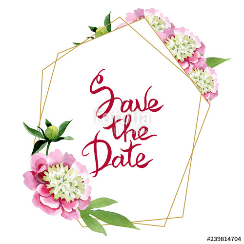 500x500 Pink Peony Watercolor Background Illustration Set Watercolour