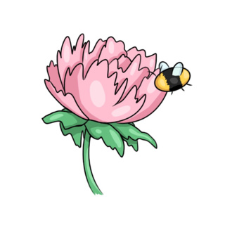 320x320 peony drawings on paigeeworld pictures of peony