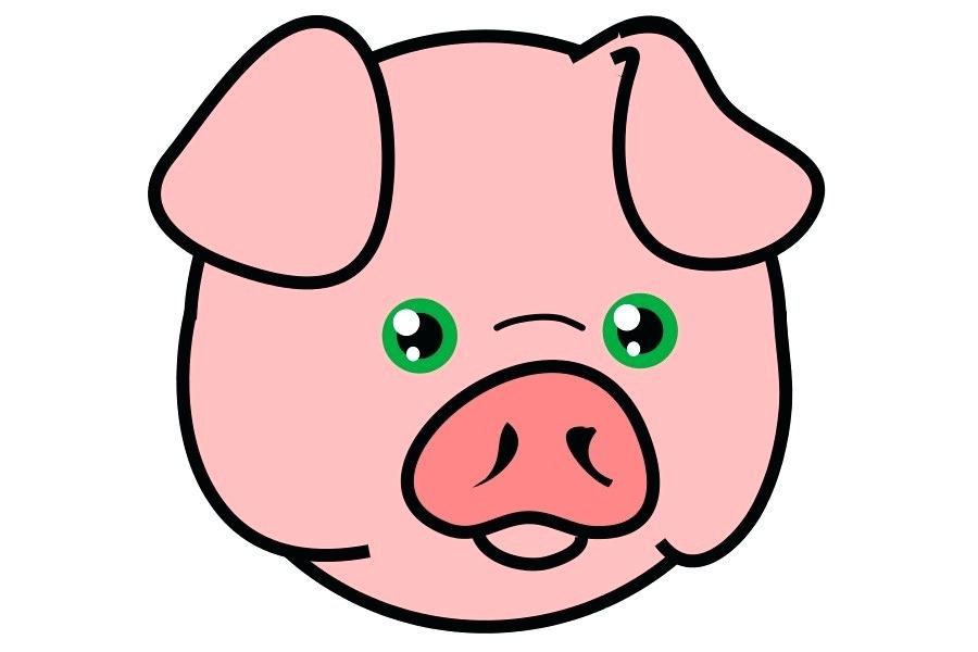 900x600 How To Draw A Pigs Head Easy Draw Pig Head