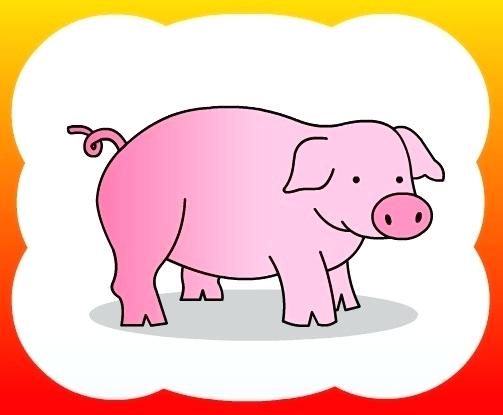 503x415 Pig Drawing Step