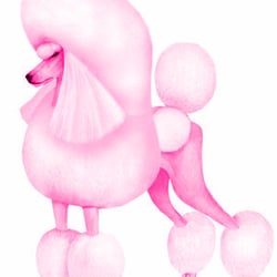 250x250 The Pink Poodle Dog Grooming