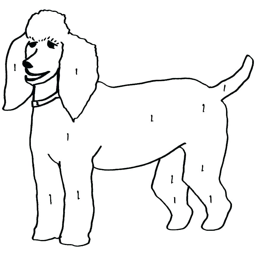 863x863 Poodle Coloring
