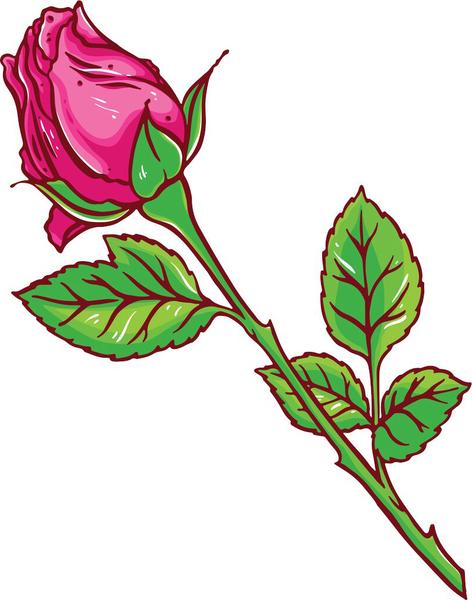 Pink Rose Drawing | Free download on ClipArtMag