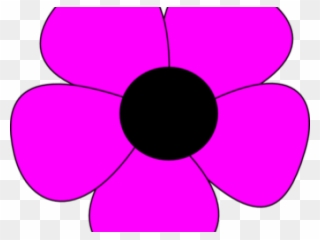 320x240 medium size of how to draw a simple tudor rose outline