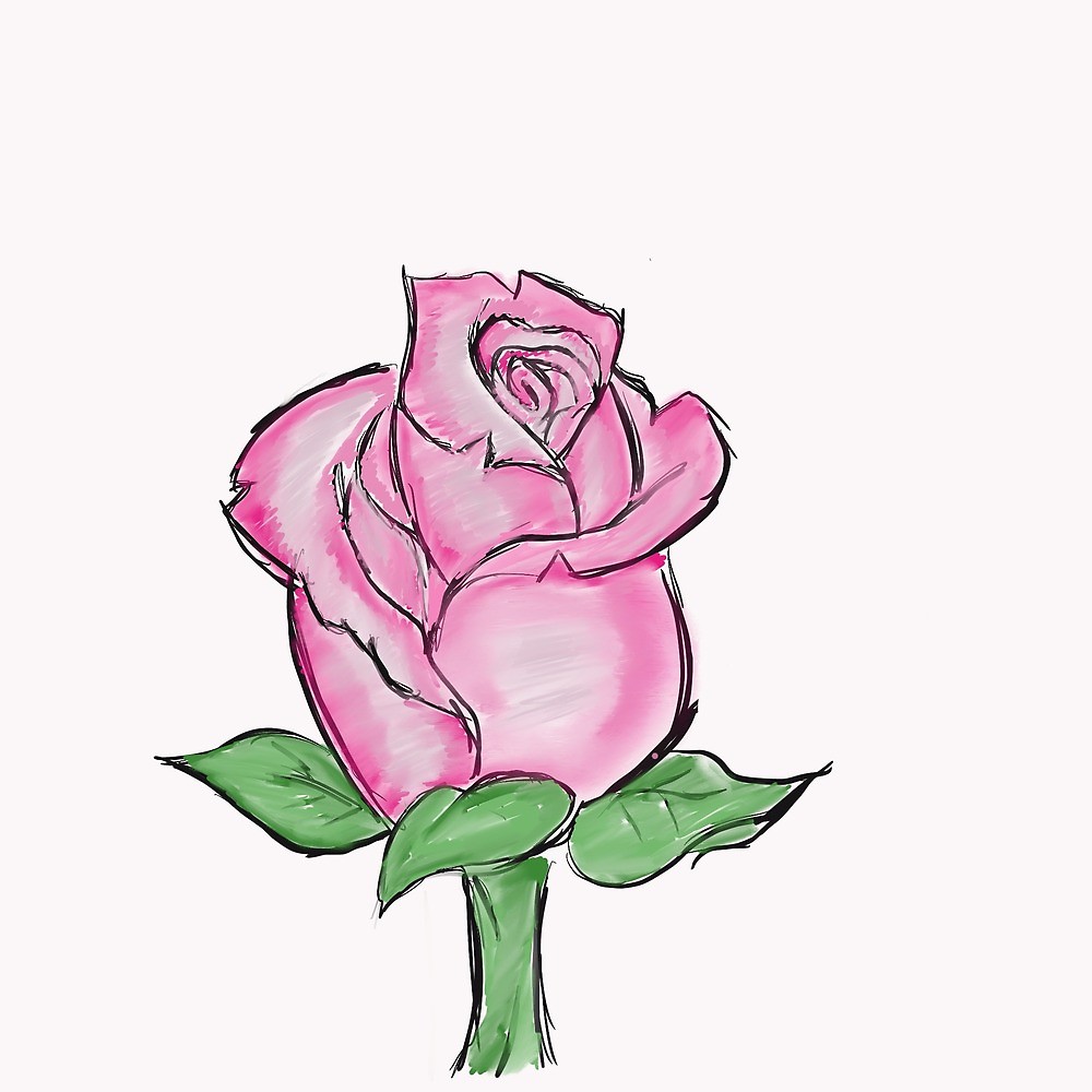 Pink Rose Drawing | Free download on ClipArtMag