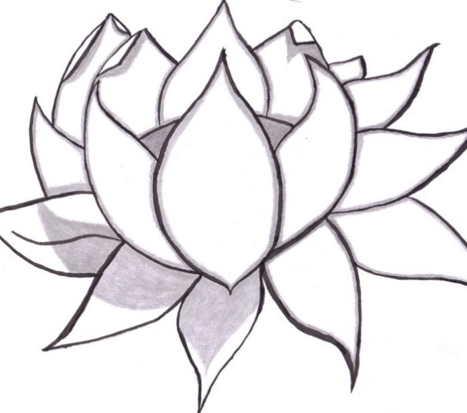 678x600 Easy Sketches Of Flowers Image Result For Easy Sketches Of Flowers