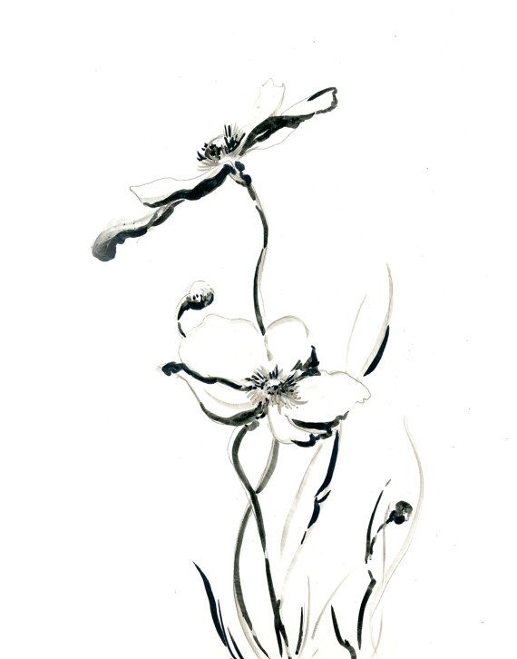 570x726 Best Flower Drawings Ideas Flower Sketches