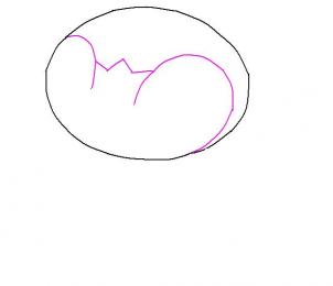 302x260 how to draw piplup