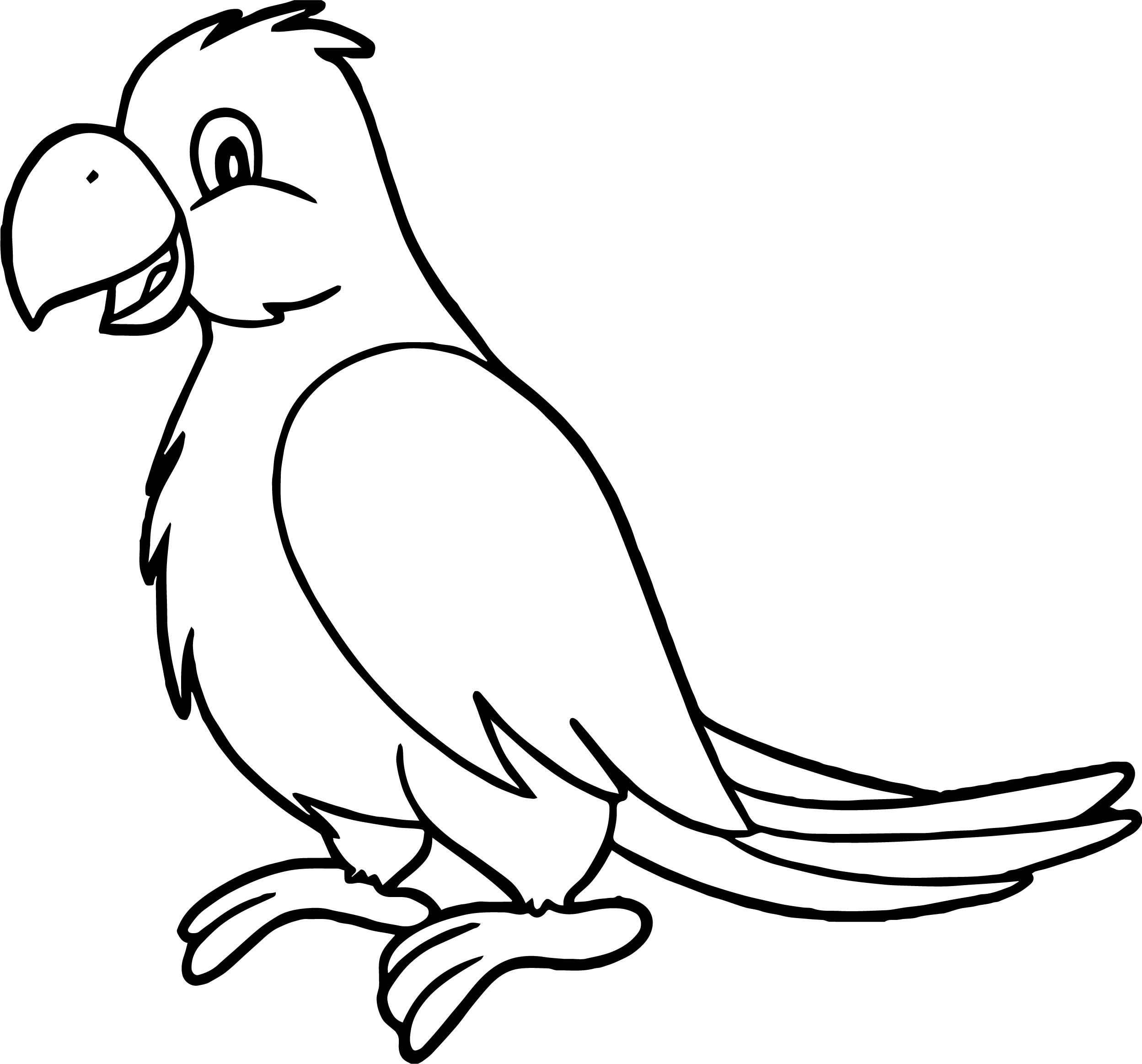 2497x2326 Pirate Parrot Coloring Pages Surprising Free Printable