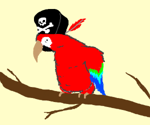 300x250 Huge Collection Of 'pirate Parrot Drawing' Download More Than