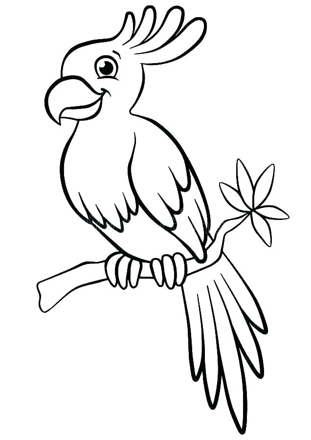 636x900 Parrot Coloring