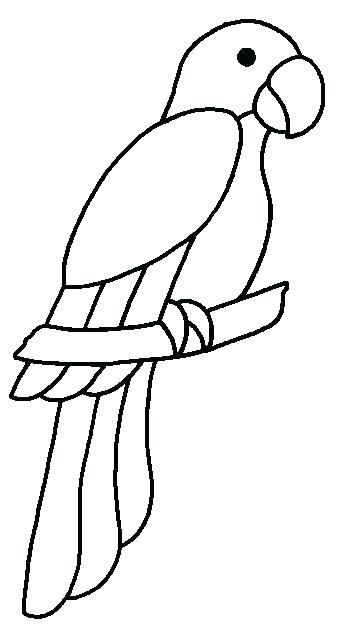 342x624 Parrot Colouring Pictures Parrot Coloring Pages Macaw Coloring