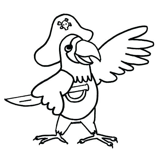 520x530 Pirate Parrot Coloring Pages Color Drawing Images Stock Photos