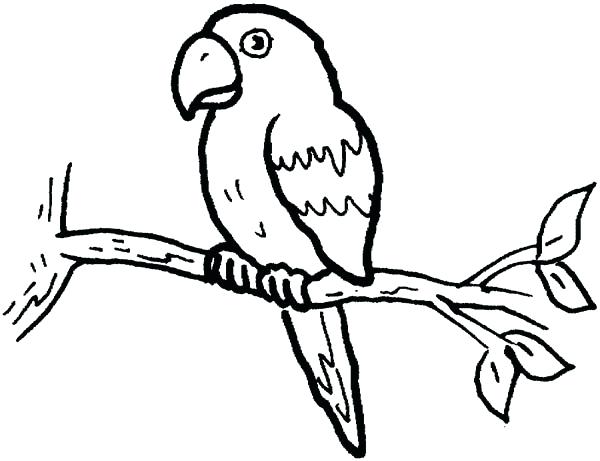 600x461 Pirate Parrot Coloring Pages Pirate Parrot Coloring Pages Flying