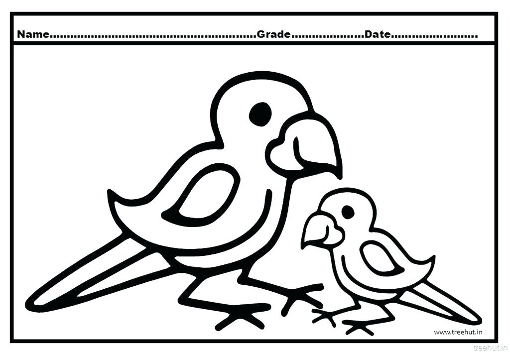 1024x709 Pirate Parrot Coloring Pages Pirate Parrot Coloring Pages Lovely