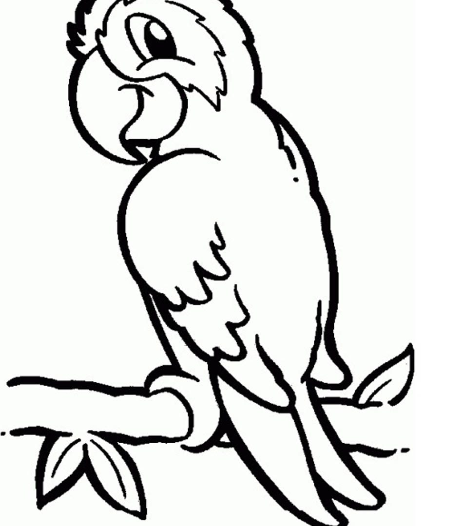 950x1080 Printable Parrot Pictures Free Ultimate Coloring Pages For Kids